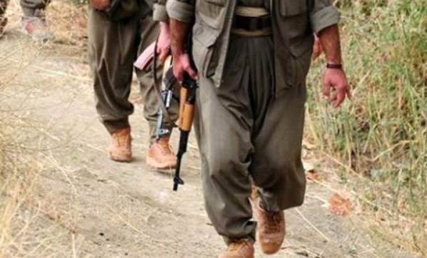 Ordu’da PKK’lı terörist yakalandı
