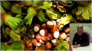 Devletimizden Destek Bekliyoruz