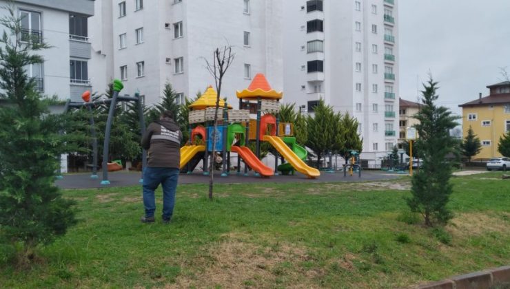 FATSA BELEDİYESİ YEŞİL ALANLARI BAHARA HAZIRLIYOR